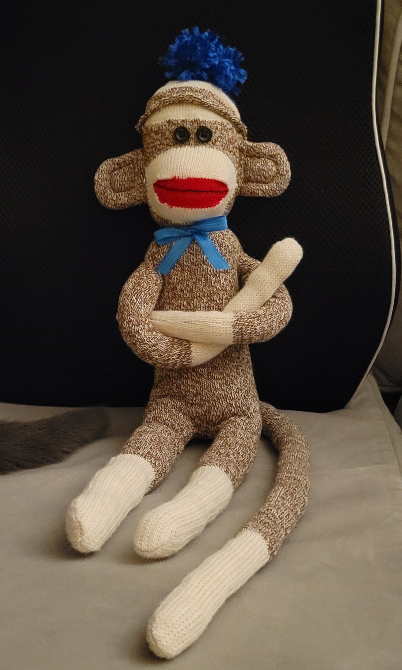 Sock Monkey